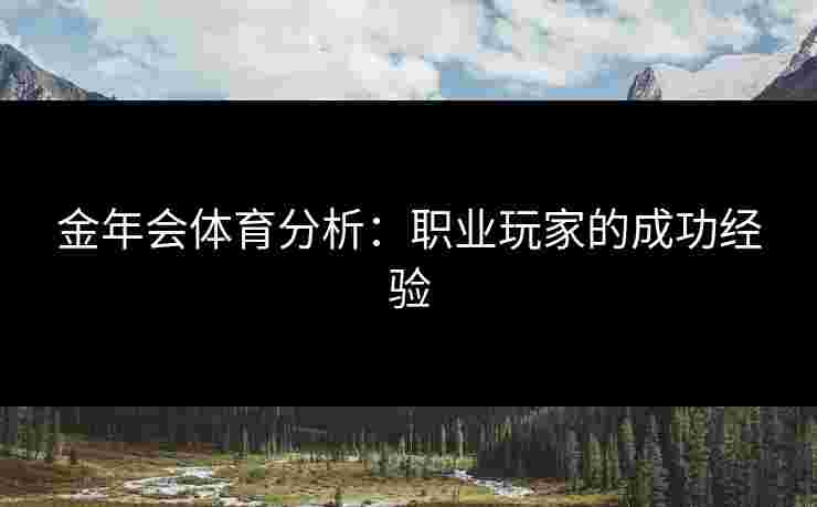 金年会体育分析：职业玩家的成功经验
