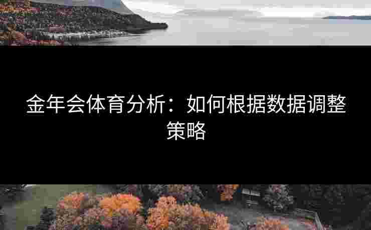 金年会体育分析：如何根据数据调整策略